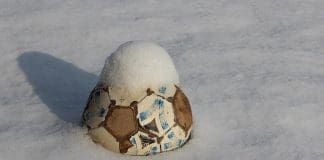 Sport im Freien - Fussbal im Schnee