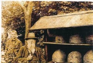 Frühjahrsausgabe von „Südsauerland – Heimatstimmen aus dem Kreis Olpe“ erschienen 2 hso 22 1 bienen