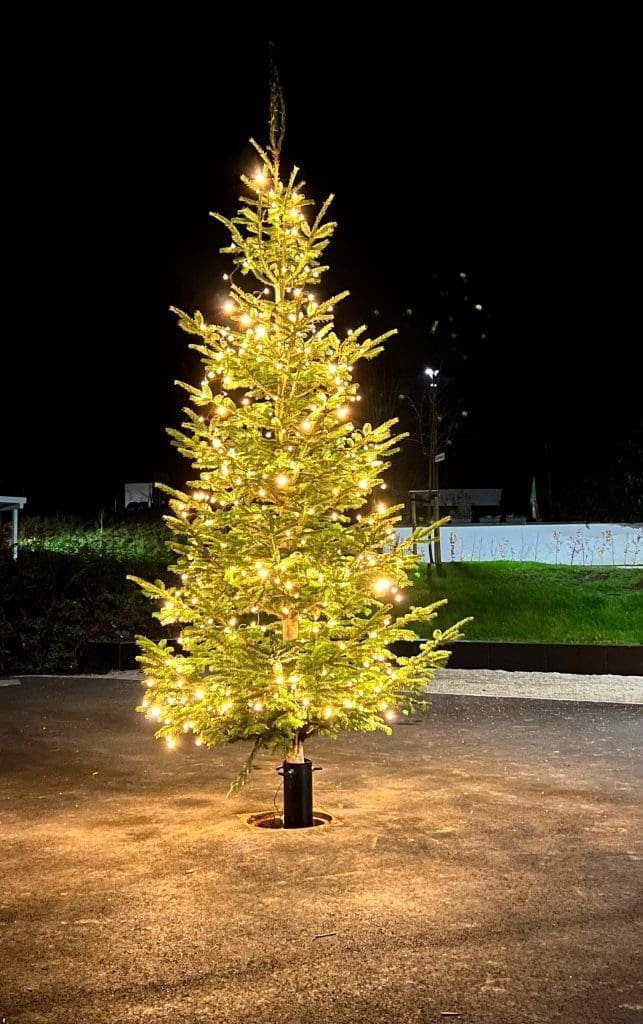 <strong>Letztes Adventssingen 2022 auf dem Biekhofer Dorfplatz mit Glühwein, Waffeln und Grillwürstchen</strong> 1 img 8452